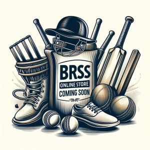 Online Store coming soon